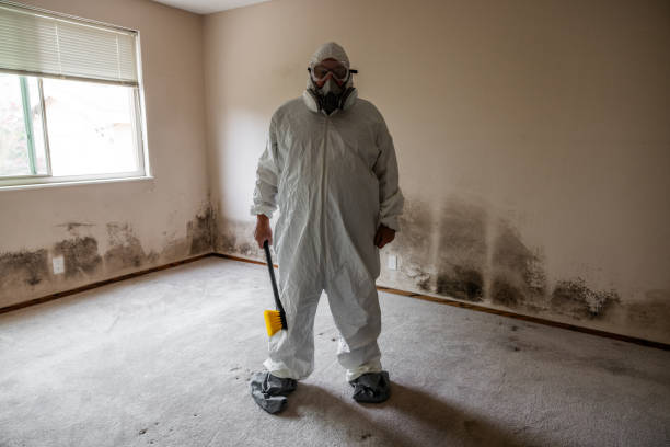 Trusted Gloucester City, NJ Mold Remediation Experts